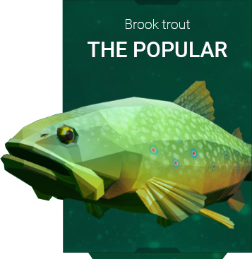 Brook-Trout-Aquatica
