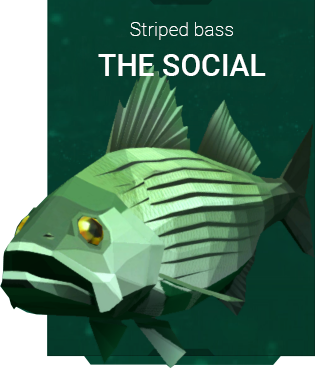 Stripped-Bass-Aquatica