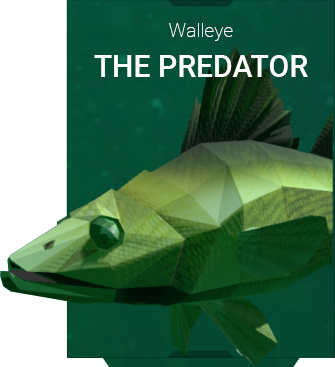 Walleye-Aquatica